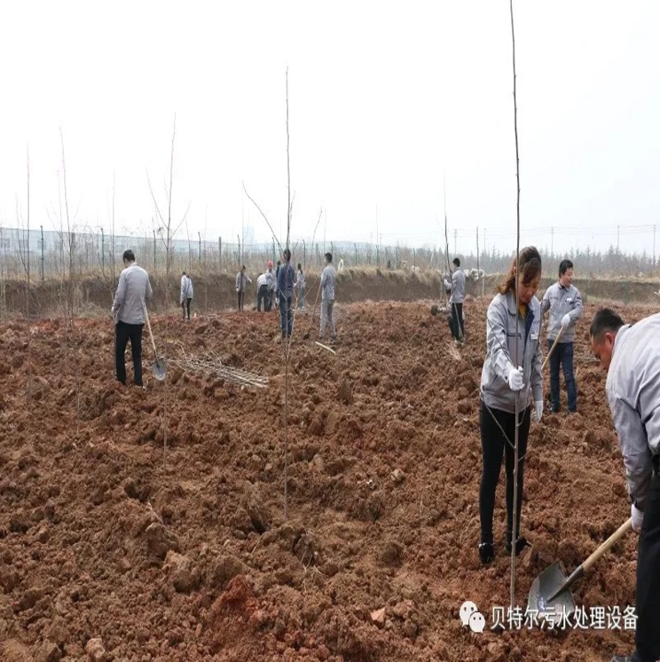 貝特環(huán)保開展“積極參加義務植樹,建設美麗貝特環(huán)保”活動